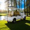 Fabricante y proveedor de carritos de golf eléctricos de China - Venta de carritos de golf personalizados - EG6063KA