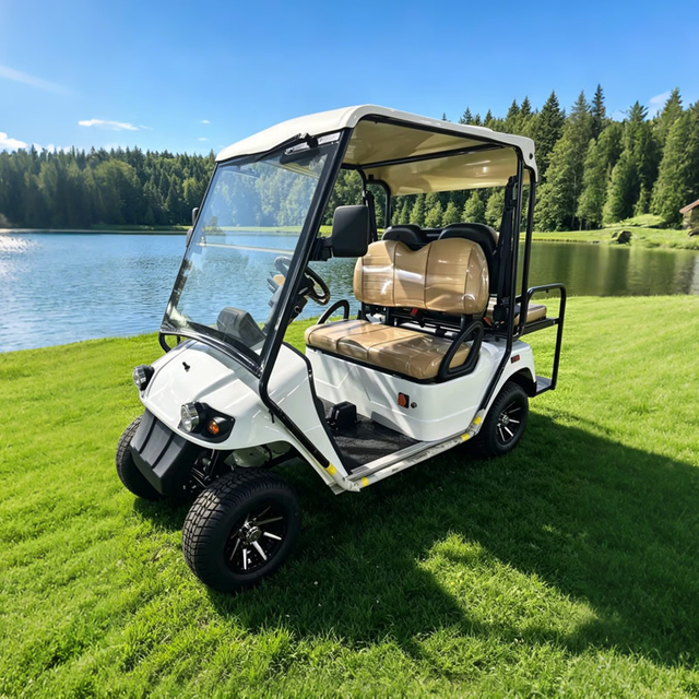 Carro de golf premium de 4 plazas - Suministro directo de fábrica - EG2028KSZR