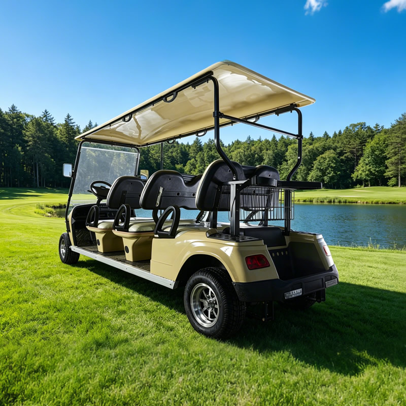Vehículo personalizado, autobús turístico, coche, 6 pasajeros, carrito de golf eléctrico con asiento para persona - EG2068K