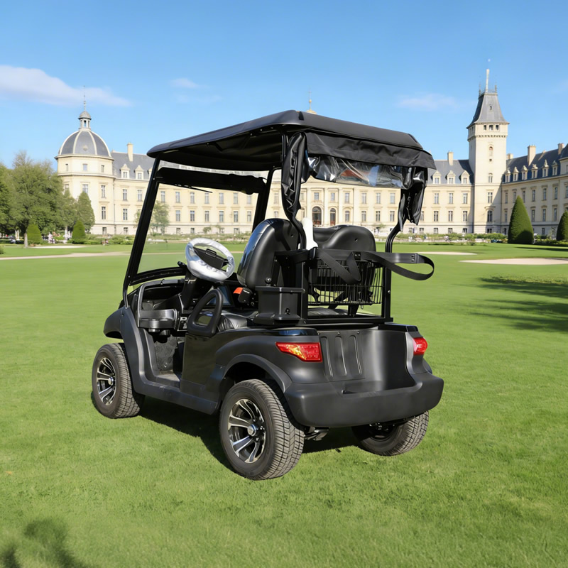 El mejor carrito de golf personalizado de litio con batería eléctrica mini agrícola de 48 V - EG202AK