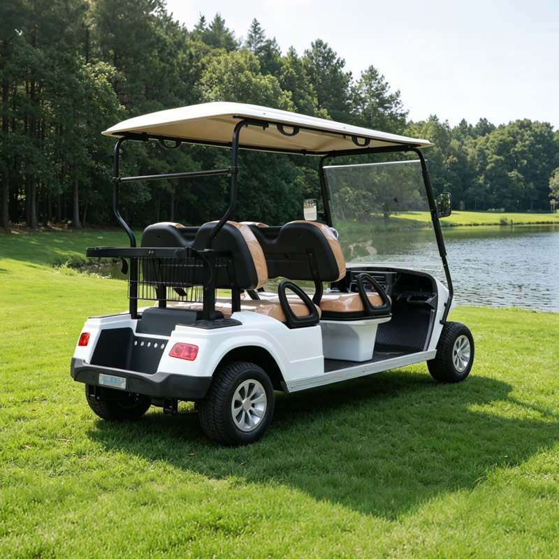 Carro de golf eléctrico con batería de litio de alta calidad personalizado a la venta - EG2048K