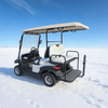 Carros de golf utilitarios de 48 V, 2 + 2 y 4 plazas - EG202ASKZ