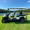 Buggy de golf eléctrico personalizado al por mayor para resorts y hoteles - EG204AKSZ