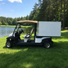 Carro de golf personalizado para alimentos y bebidas, bebidas y café, con caja, a la venta - EG204AK