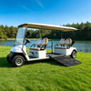 Carro de golf eléctrico para discapacitados accesible en silla de ruedas/carro turístico con rampa para silla de ruedas - EG2068T