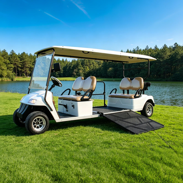 Carro de golf eléctrico para discapacitados accesible en silla de ruedas/carro turístico con rampa para silla de ruedas - EG2068T