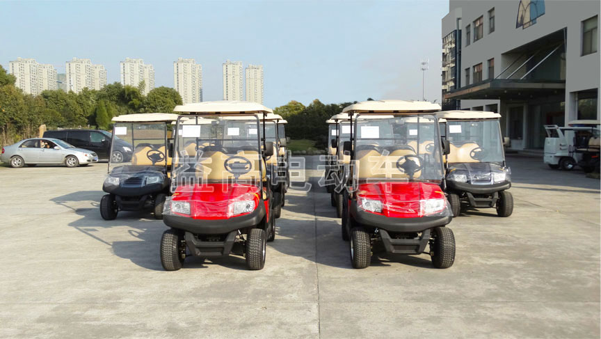 carro de golf &aacute;guila