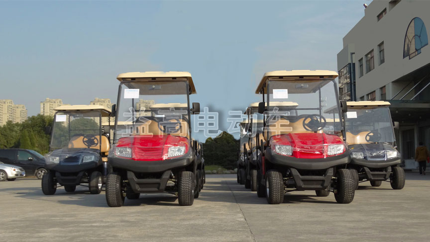 carrito de golf electrico eagle