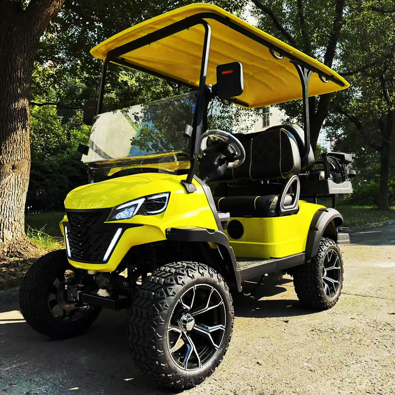 Carros de golf de 2+2 plazas
