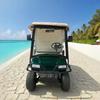 Campo de golf Comida Café Bebida Bebida Cerveza Bev Carro de golf en venta - EG2048HCX