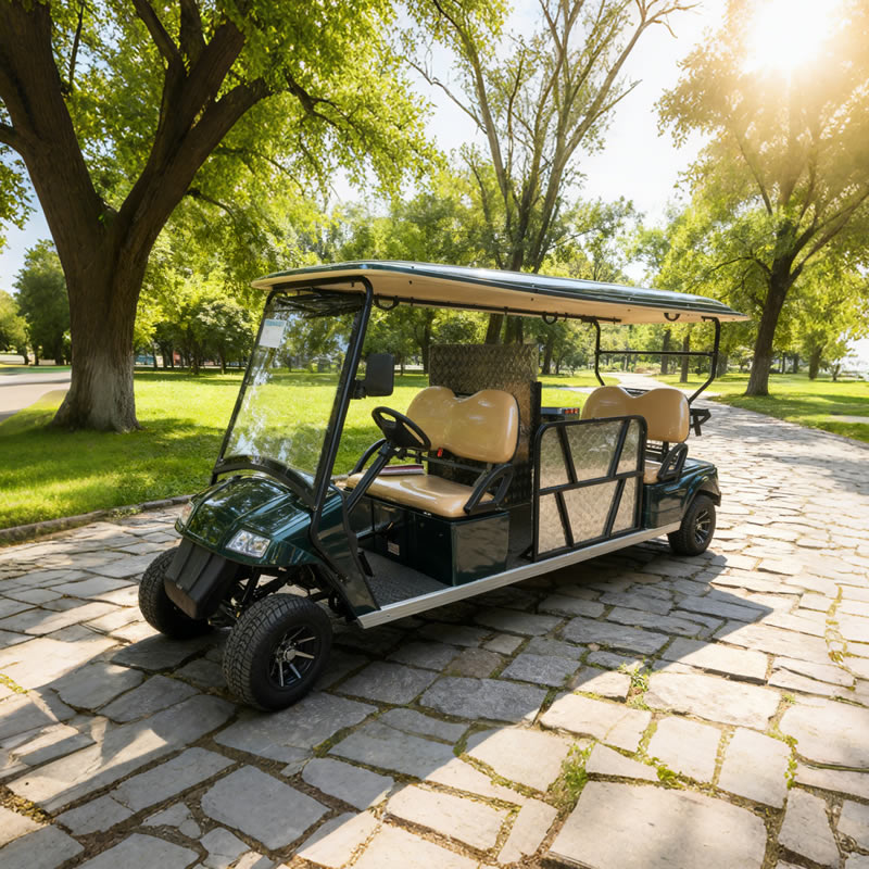 Fabricante personalizado al por mayor de carritos de golf para discapacitados - EG2068T