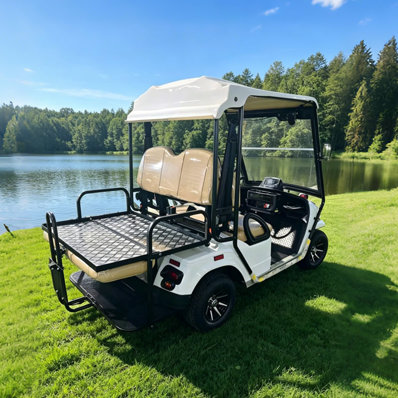 Carro de golf premium de 4 plazas - Suministro directo de fábrica - EG2028KSZR