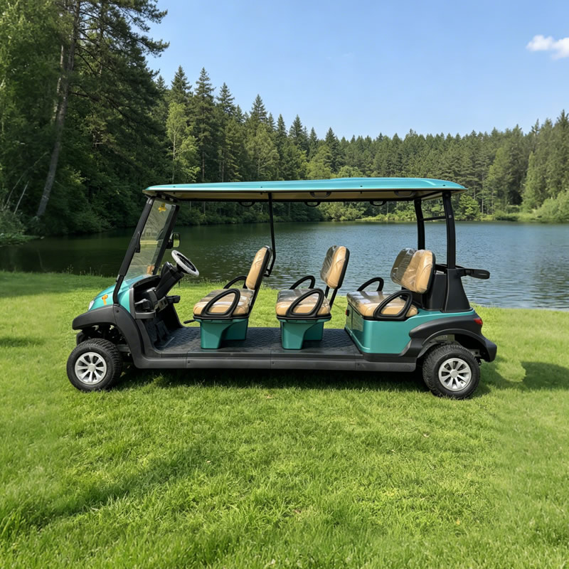 Carro de golf eléctrico para 6 personas | Precio de fábrica para campos de golf, hoteles y turismo - EG206AK