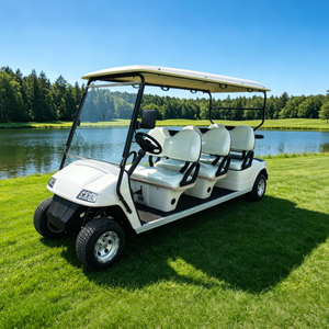 Vehículo turístico, carrito de golf con buggy eléctrico con asiento para 6 pasajeros - EG2068K