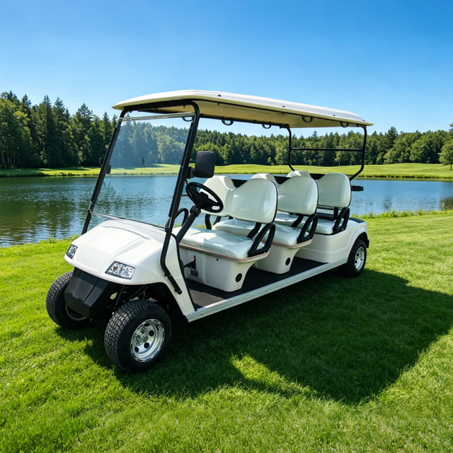 Vehículo turístico, carrito de golf con buggy eléctrico con asiento para 6 pasajeros - EG2068K