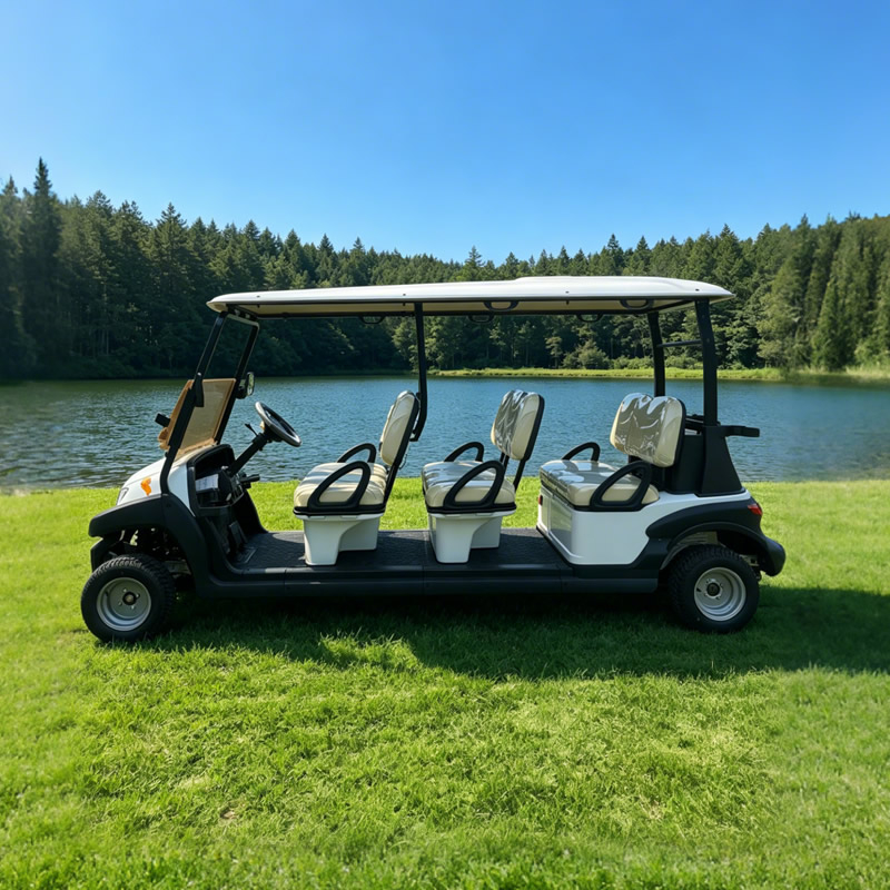 Precio del coche de golf eléctrico para pasajeros de 6 asientos en Egipto - EG206AK