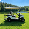 Carro de golf eléctrico de lujo de 4 plazas - EG202EKSZ