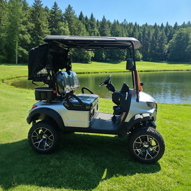 Carro de golf eléctrico personalizado para 2 personas - EG202DK