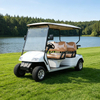 Carro de golf eléctrico con batería de litio de alta calidad personalizado a la venta - EG2048K