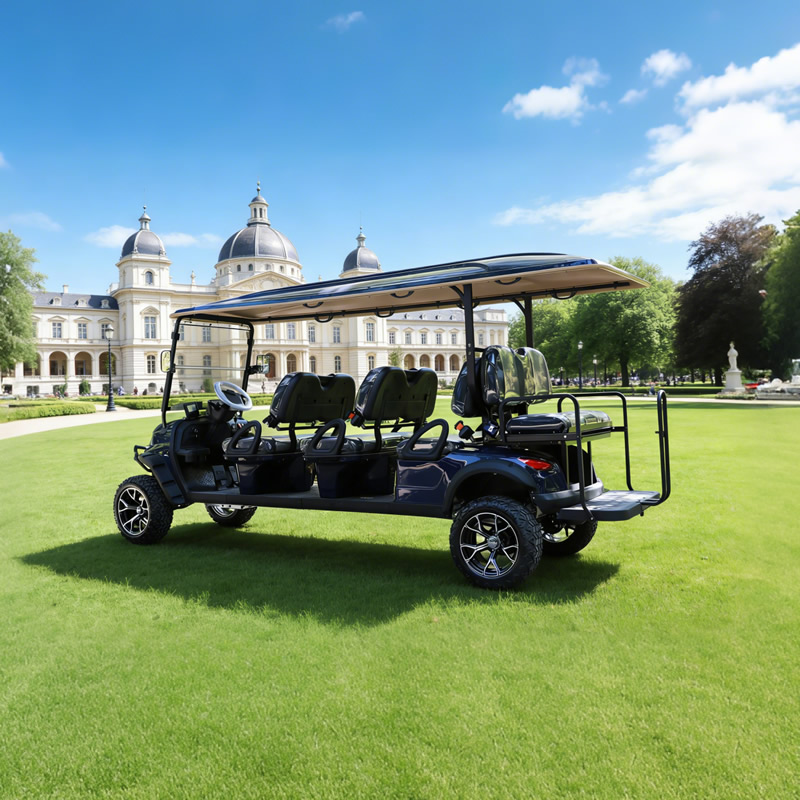 Carro de golf eléctrico personalizado de litio para pasajeros, 6+2 y 8 plazas - EG206DKSZ