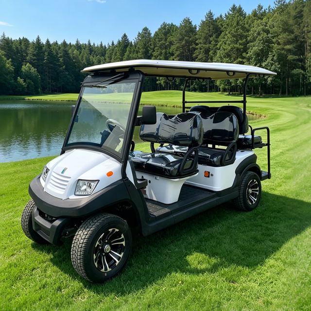 Buggy de golf eléctrico personalizado al por mayor para resorts y hoteles - EG204AKSZ