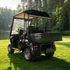 China Mini buggy todoterreno de golf eléctrico de caza de 2 plazas - EG2028HR