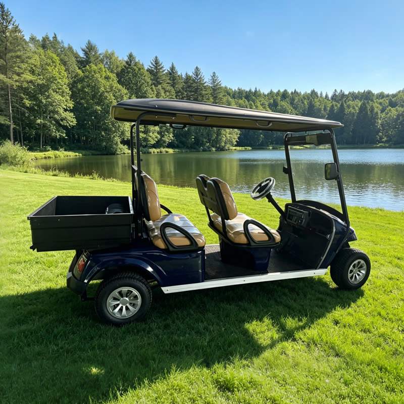 Carrito de golf de 4 plazas al por mayor con caja - EG2048H