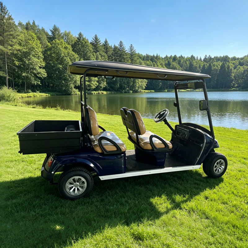 Carrito de golf de 4 plazas al por mayor con caja - EG2048H