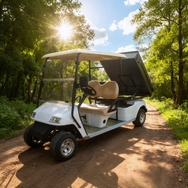 Carro de golf para camión de carga utilitario con caja - EG2048HCX