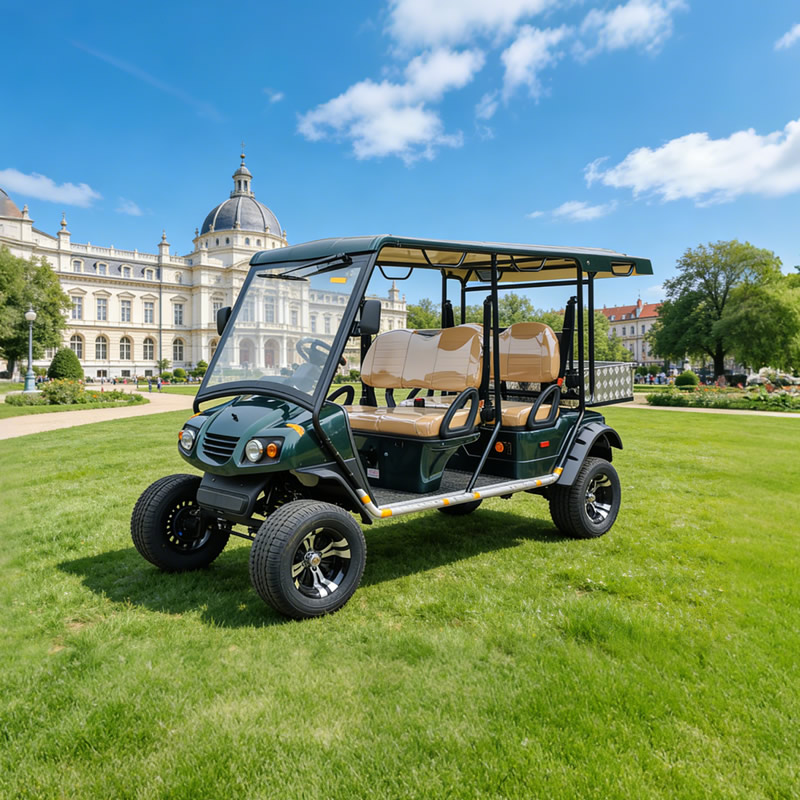 Vehículo con buggy de camión de carga con carrito de golf todoterreno de caza eléctrico personalizado con certificación de caja - EG2040ASZR