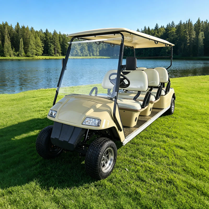 Vehículo personalizado, autobús turístico, coche, 6 pasajeros, carrito de golf eléctrico con asiento para persona - EG2068K