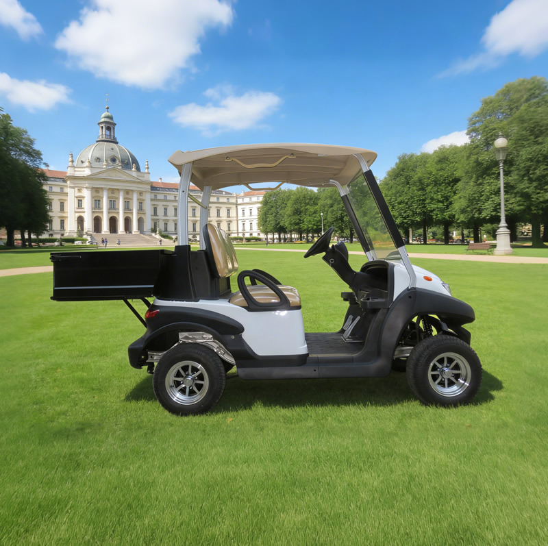 Fabricante de carritos de golf utilitarios personalizados con caja - EG202AH