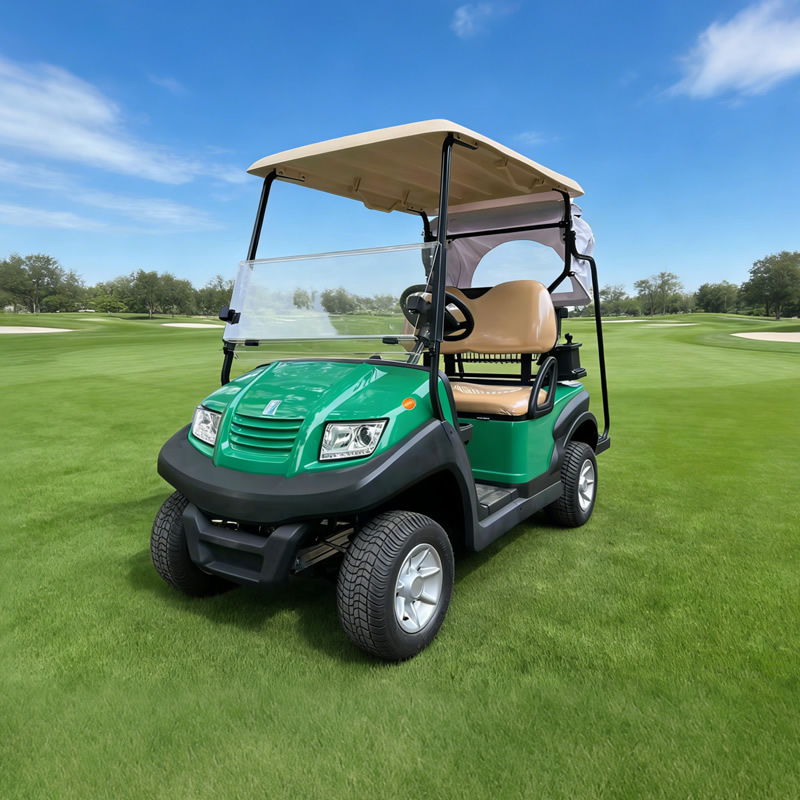 Precio de carrito de golf personalizado para un carrito de golf - EG202AKG