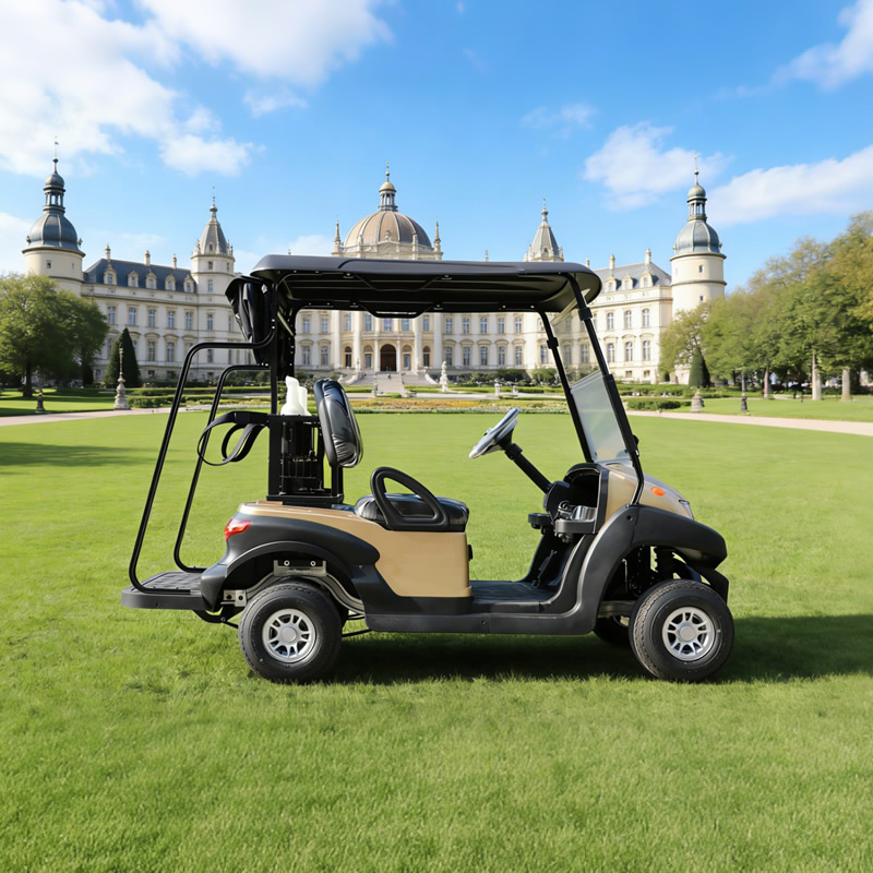 Precio de carrito de golf personalizado para un carrito de golf - EG202AKG