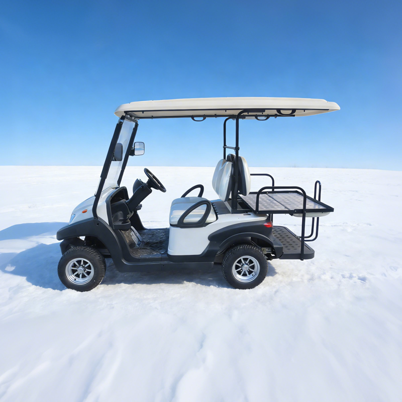Carros de golf utilitarios de 48 V, 2 + 2 y 4 plazas - EG202ASKZ