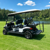 Buggy de golf eléctrico personalizado al por mayor para resorts y hoteles - EG204AKSZ