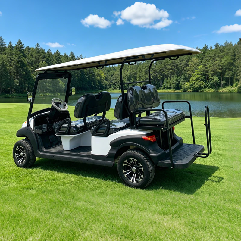 Buggy de golf eléctrico personalizado al por mayor para resorts y hoteles - EG204AKSZ