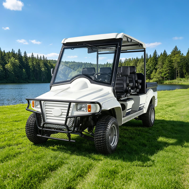 Carro de golf de caza de mini camioneta todoterreno todoterreno eléctrico 2wd de 72 V - EG6042A