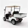 Carro de golf eléctrico de 2 plazas personalizado con plataforma de carga de aluminio - EG2028H