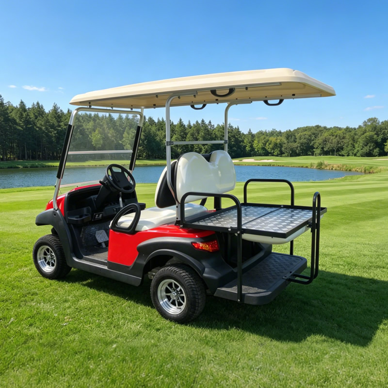 Carros de golf utilitarios de 48 V, 2 + 2 y 4 plazas - EG202ASKZ