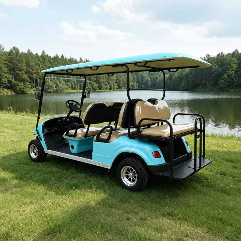 Carros de golf eléctricos del carro de golf de la persona del ODM del OEM 6 - EG2048KSZ