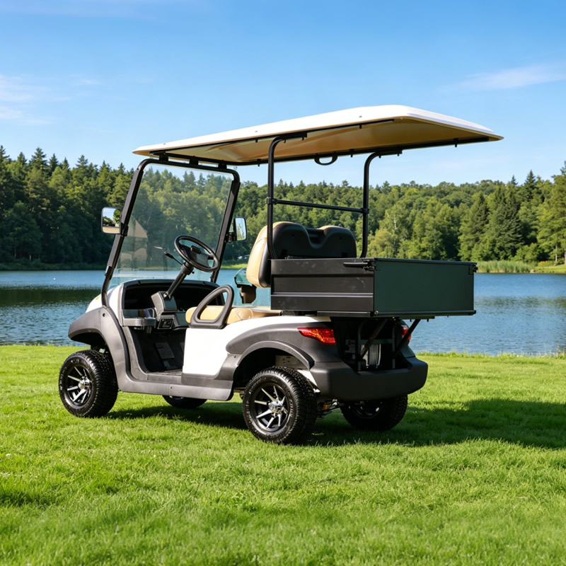 Fabricante de carritos de golf utilitarios personalizados con caja - EG202AH