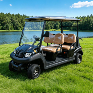Buggy de carritos de golf de 4 plazas con batería de litio personalizado a la venta - EG204AK