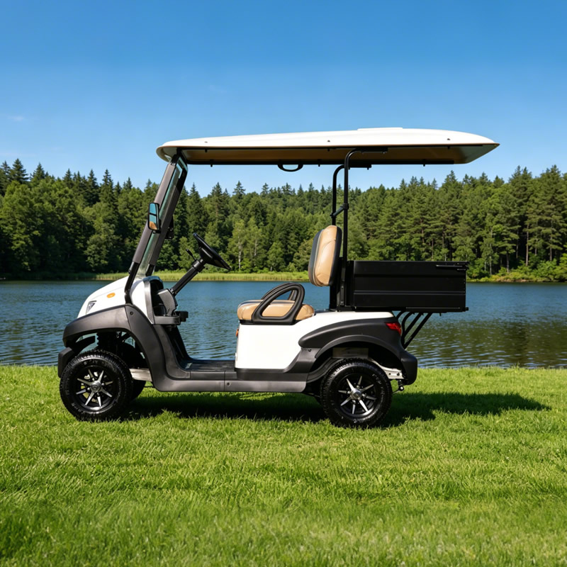 Fabricante de carritos de golf utilitarios personalizados con caja - EG202AH