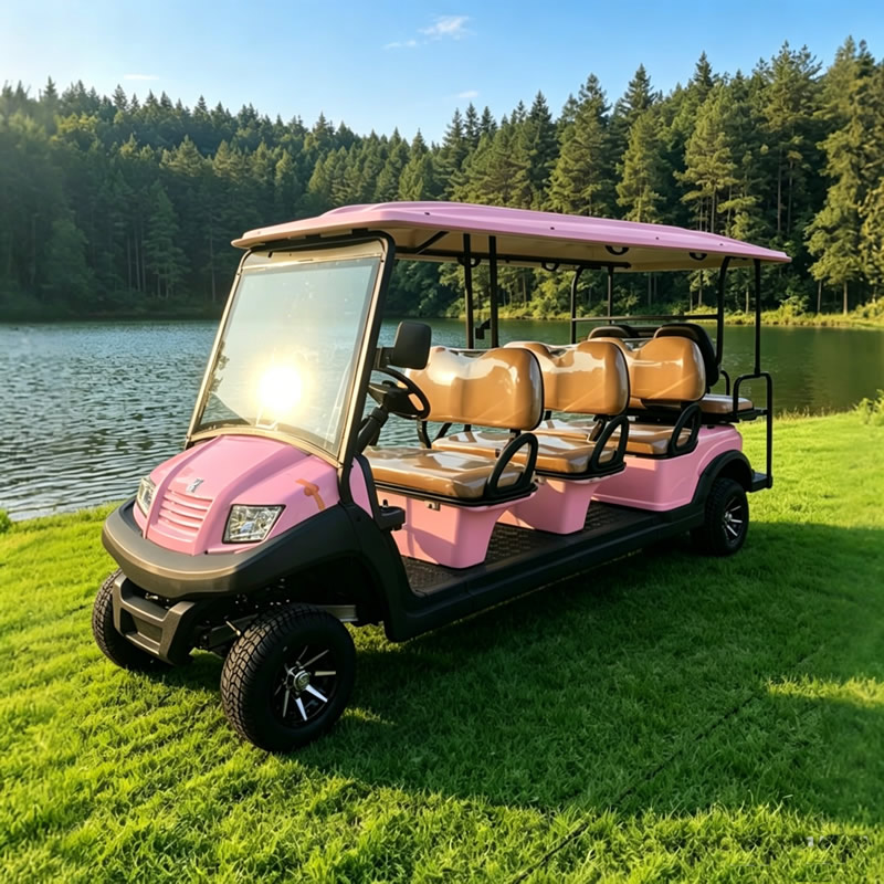 Carro de golf rosa personalizado