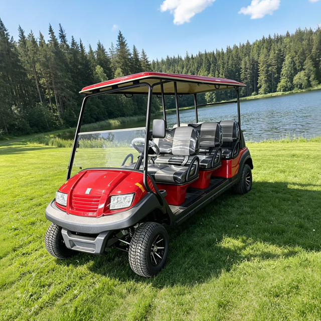 Carrito De Golf Carro De Golf Carros De Golf Carrito De Golf Precio - EG206AK