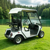 Buggy eléctrico personalizado para carros de golf legales para la calle - EG2028KR