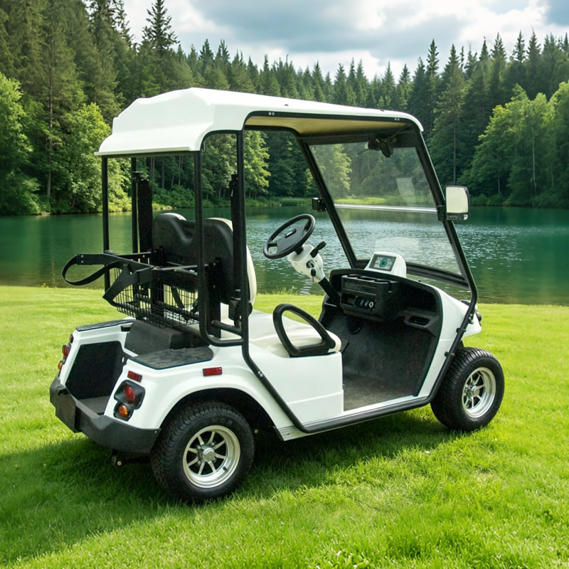 Buggy eléctrico personalizado para carros de golf legales para la calle - EG2028KR
