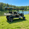 Vehículo con buggy de camión de carga con carrito de golf todoterreno de caza eléctrico personalizado con certificación de caja - EG2040ASZR