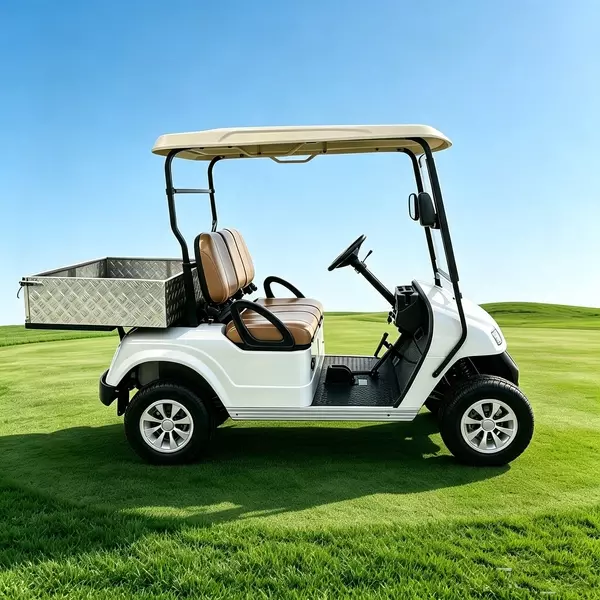 Carro de golf eléctrico de 2 plazas personalizado con plataforma de carga de aluminio - EG2028H